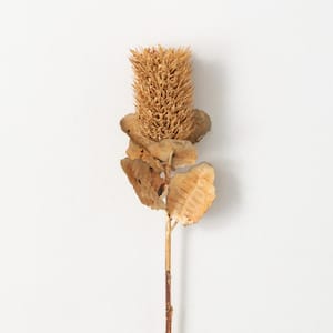 23 in. Buff Brown Artificial Preserved Cirsium