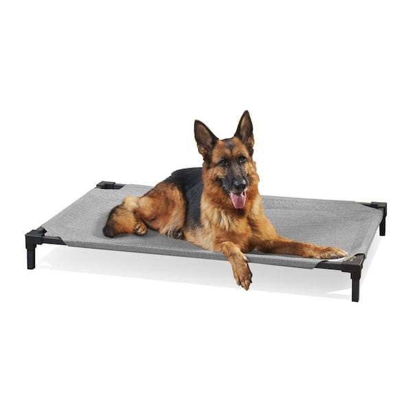 Coolaroo Large, Steel Pet Bed Pro