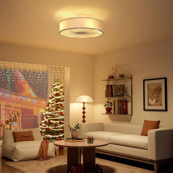 20 in. Indoor White Industrial Caged Farmhouse Standard Flush Mount Ceiling Fan with Light Remote for Bedroom/Kitchen