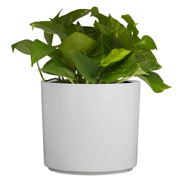 Matt White Set 3 Ceramic Plant Pots with Bamboo Coasters Indoor Planters  White Pot Ser Ceramic Flower Pots Containers Outdoor Large, Medium, Small