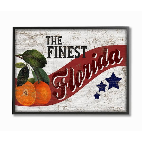 Stupell Industries 16 in. x 20 in. "Americana Star Fruit Crate Finest Oranges Florida State" by Artist Daphne Polselli Framed Wall Art