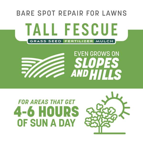Smart Patch Tall Fescue 10 lb. 200 sq. ft. Grass Seed Bare Spot Repair with Mulch and Fertilizer