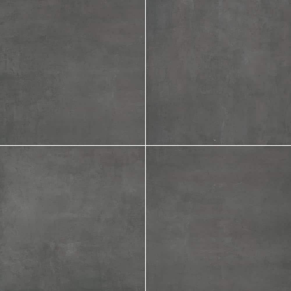 Praia Grey 24 in. x 24 in. Matte Porcelain Paver Floor Tile (224 sq. ft. / Pallet) price history on PriceWatchPro