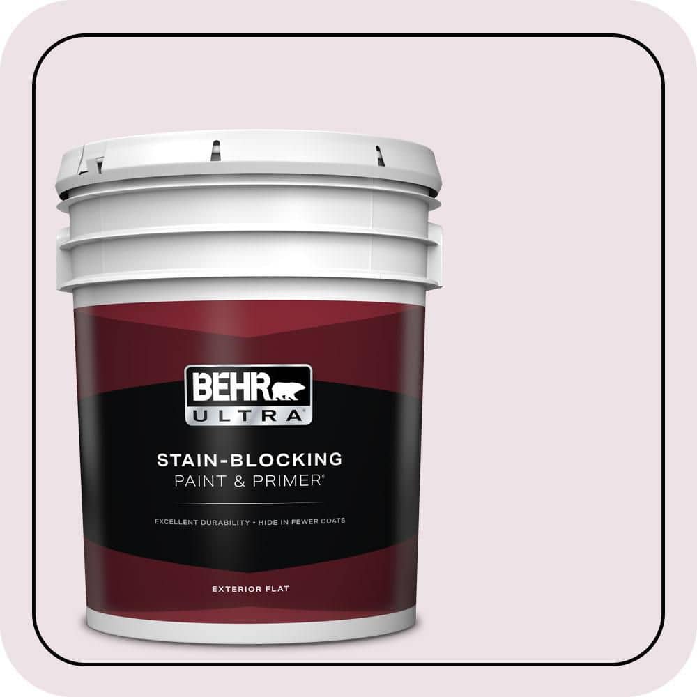 5 gal. #670C-2 Petal Dust Flat Exterior Paint & Primer price history on PriceWatchPro