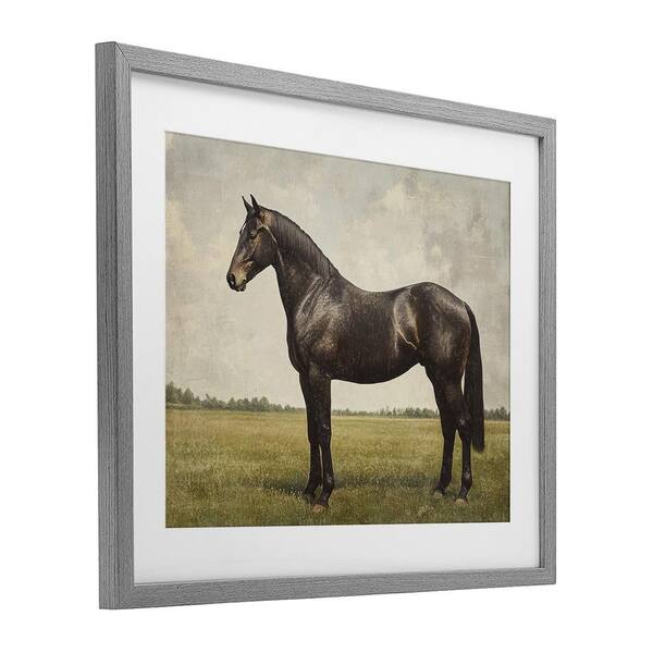 Stupell Industries Equine Elegance Portrait Animals Painting Wrapped Canvas Art Print Wall Art 36 X 36 62e4c0ef B3fa 4a88 B434 57647def4594.f5625abee430665d54d7078593c67b58