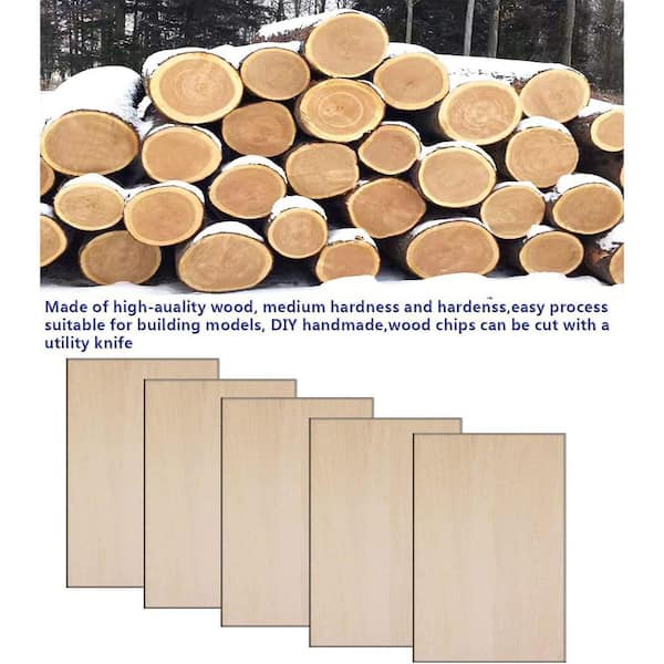 1/16 in. x 0.5 ft. x 0.3 ft. Pressure Treated Sanded Plywood