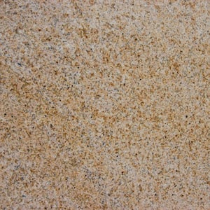Gold Rush 12 in. x 12 in. Polished Granite Stone Look Floor and Wall Tile (5 sq. ft./Case)