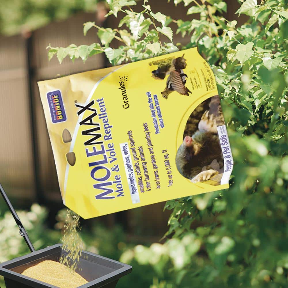 MoleMax 10 lb Yellow Granular Mole and Vole Repellent