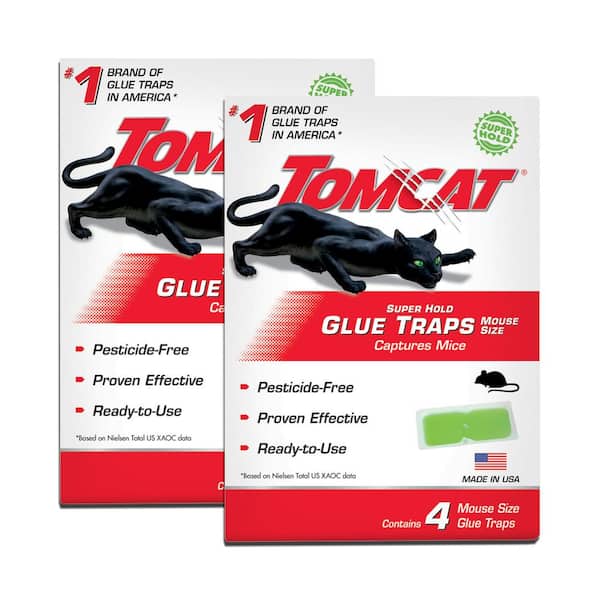 TOMCAT Super Hold Glue Traps Mouse Size for Mice, Cockroaches, Spiders, and Scorpions, Ready-To-Use, 4 Traps (2-Pack)