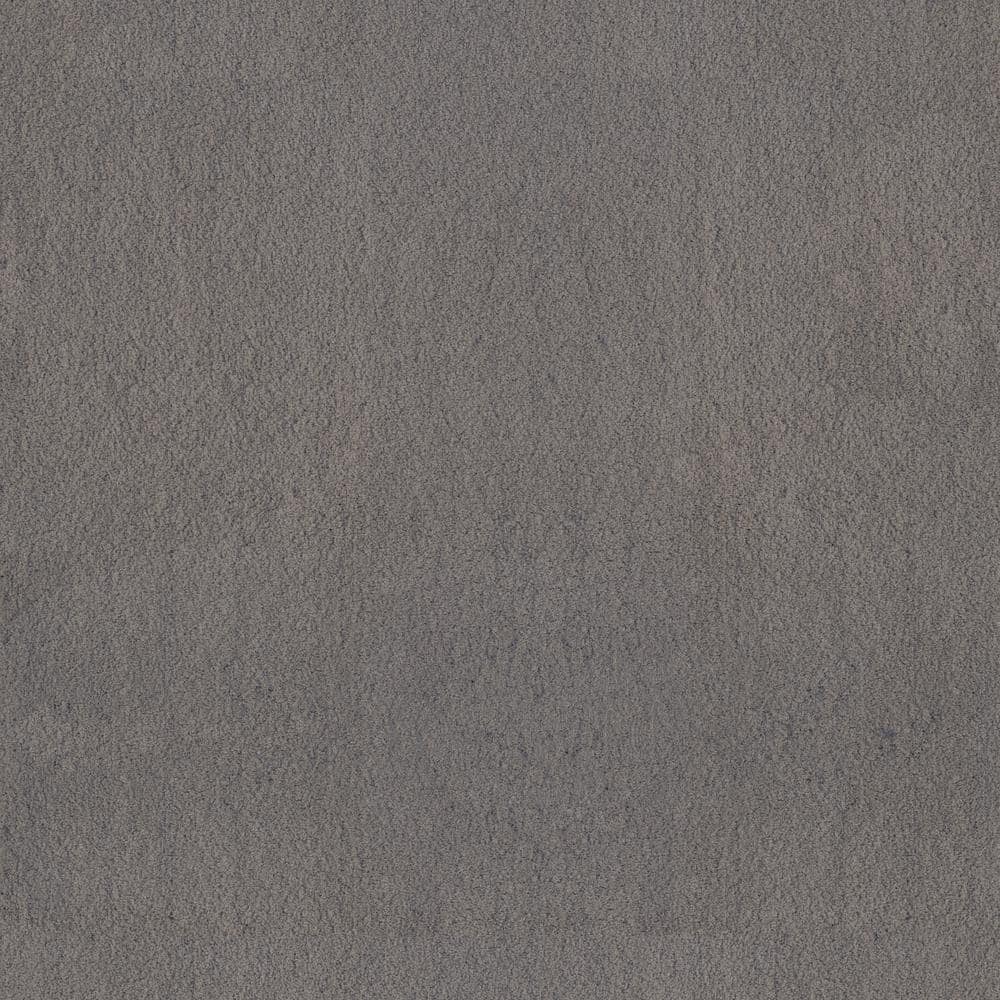 8 in. x 8 in. Texture Carpet Sample - Dreamy Daze II -Color Oren price history on PriceWatchPro