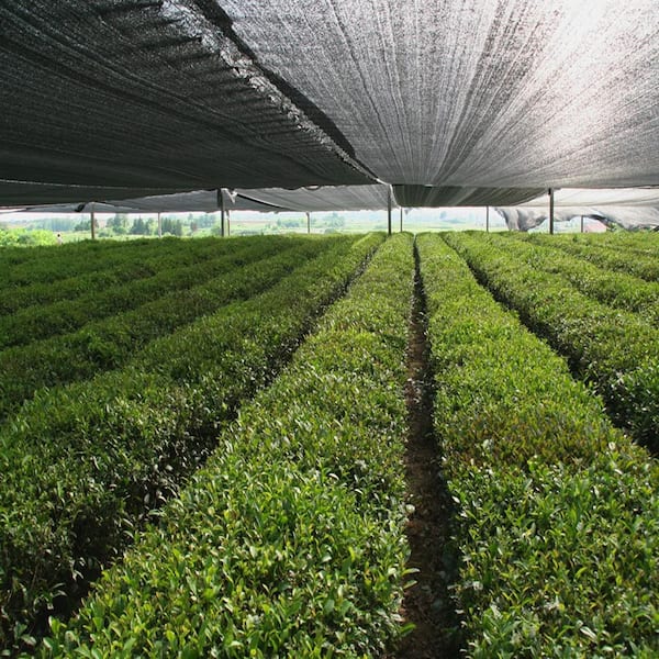 Horticultural Shade Cloth For Sale, Greenhouse Shade Cloth