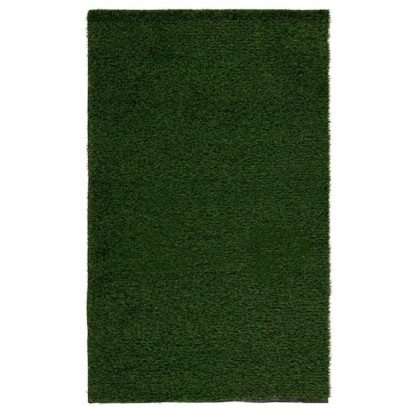 Turf 10 ft. x 14 ft. Natural/Green Solid Color Indoor/Outdoor Area Rug