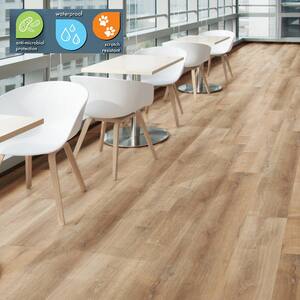 Fresh Oak 30 MIL x 8.7 in. W x 48 in. L Click Lock Waterproof Luxury Vinyl Plank Flooring (20.1 sq. ft./case)