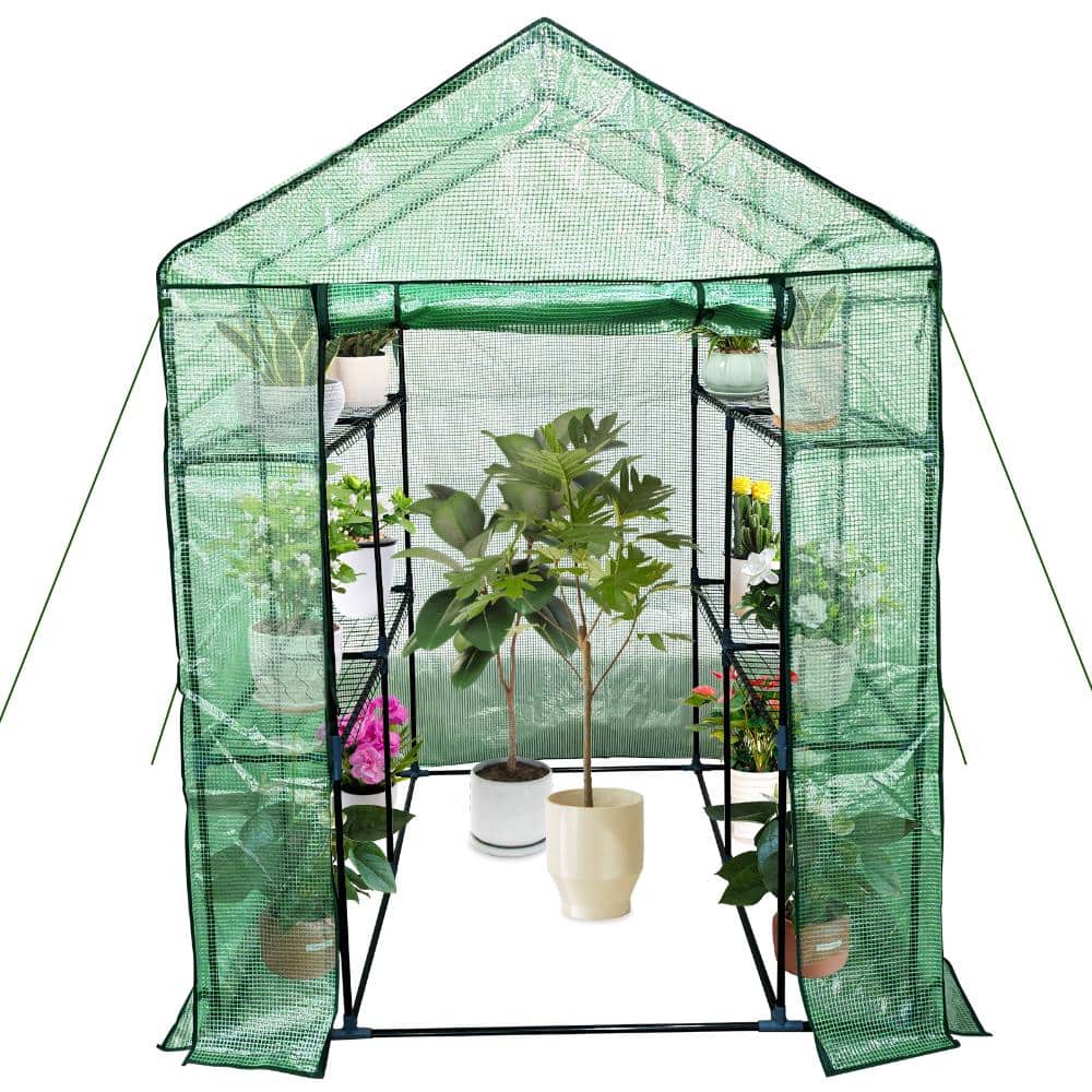 Portable Walk-In Greenhouse for Garden, Patio, or Backyard 3 Tiers Roll-Up Zippered Door for Outdoor Plant Growing Green price history on PriceWatchPro