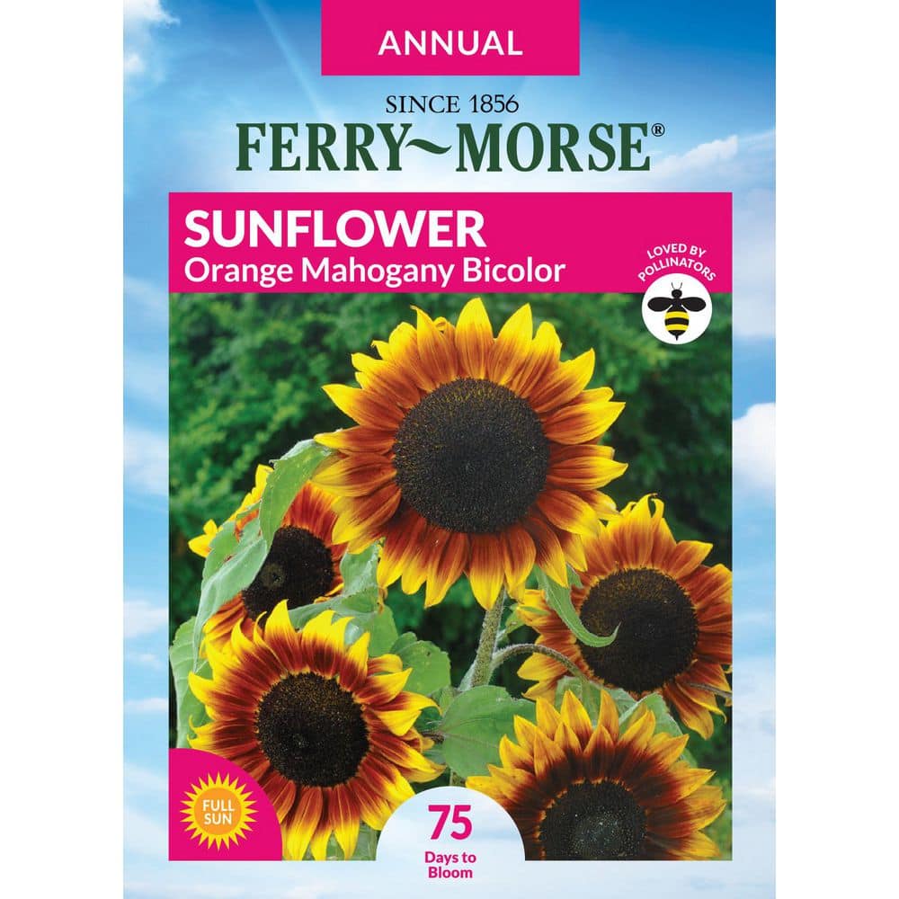 Ferry-Morse Sunflower Orange Mahogany Bi-Color Flower Seeds 1853