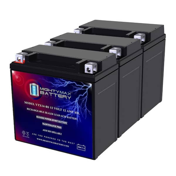 MIGHTY MAX BATTERY 12-Volt 12 AH 200 CCA SLA Battery (3-Pack)