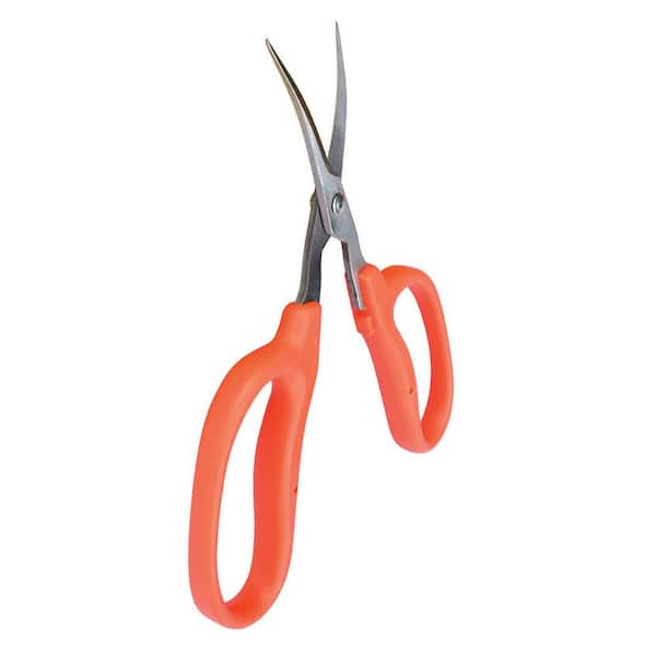 ZENPORT:Zenport Ergonomic Bent Handle Deluxe Bud Trimming Scissors for Garden, Fruits and Grapes, 6.5 in. (Box of 3)