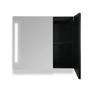 30 in. W x 26 in. H Black Recessed/Surface Mount Medicine Cabinet with Mirror LED Defogger Anti-Fog Dimmable Lights