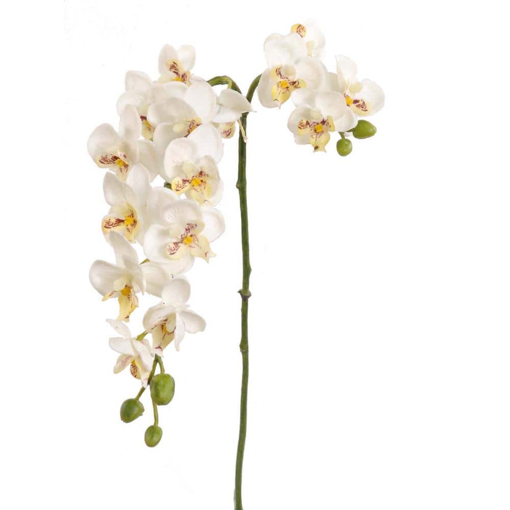 22 in. White Artificial Dancing Orchid Stem with Silk Flowers - 12-Piece, F
