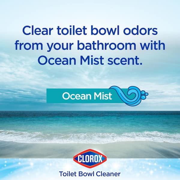 Clorox 24 oz. Rain Clean Toilet Bowl Cleaner with Bleach (12-Pack), Blue