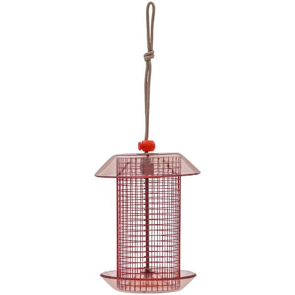 BIRDS choice Small Sunflower Seed Feeder Color Pop Collection in Red and Coral