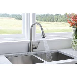 Kaden Single-Handle Pull-Down Sprayer Kitchen Faucet with Reflex and Power Clean in Spot Resist Stainless