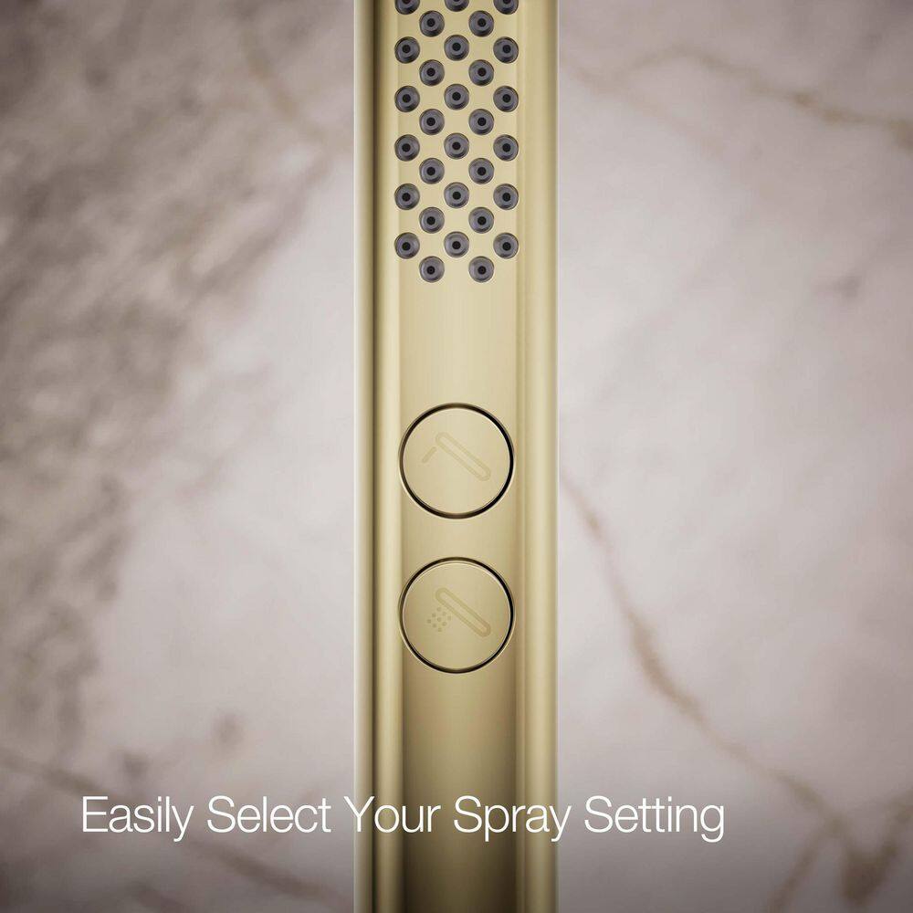 Vibrant French Gold Two-Function Handheld Shower Head
