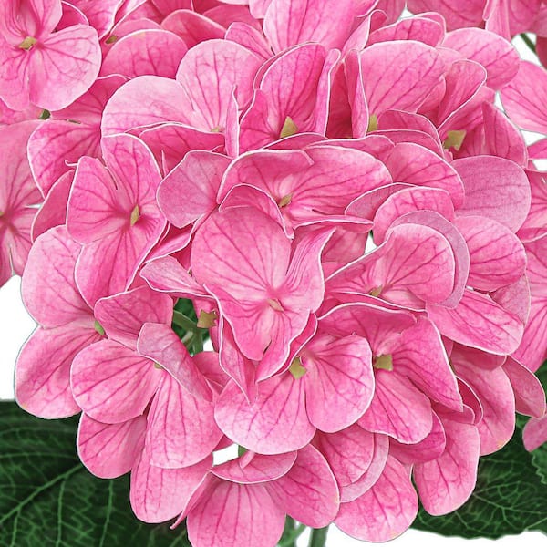 LIVING LUXURY 18 in. Pink Fuchsia Natural Touch Artificial