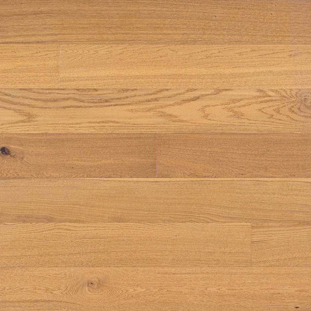 Take Home Sample-Canyonlands White Oak 7mm T x 7 in. W x 7 in. L Click Lock Waterproof Engineered Hardwood Flooring price history on PriceWatchPro