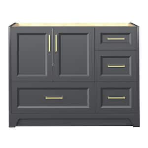 42 in. W x 21.5 in. D Bath Vanity Cabinet without Top Solid Wood Bathroom Vanity Base in Charcoal Gray Assembled