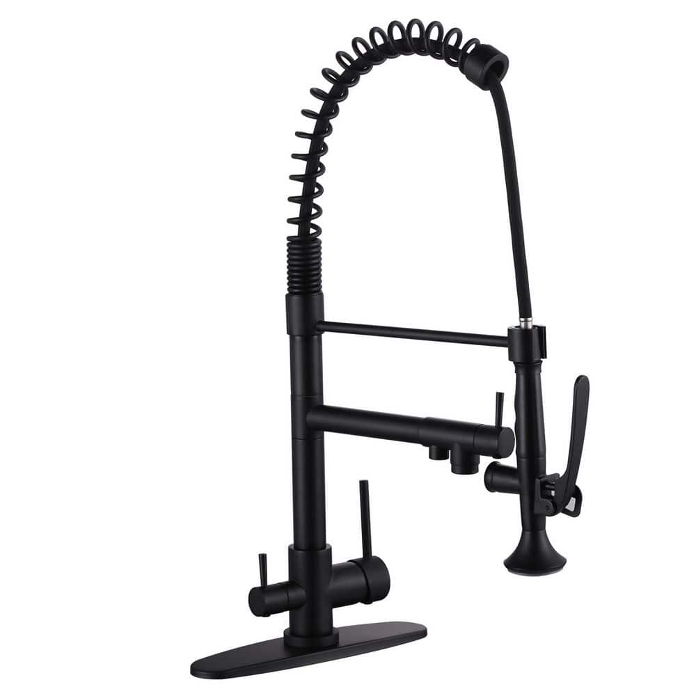 22.3 in. H Single Handle Pull Down Sprayer Kitchen Faucet with 360 Degree Spout Swivel and Pot Filler in Matte Black price history on PriceWatchPro