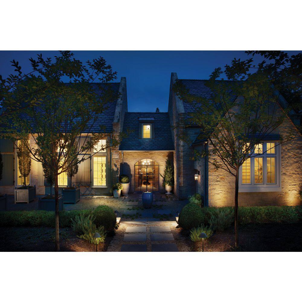 Bronze 75W Outdoor Landscape Spot Light with Clear Glass