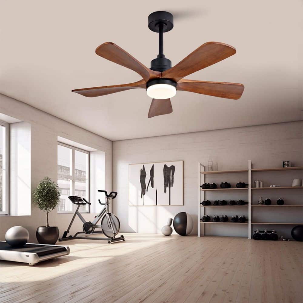 42 in. Indoor Black Downrod Mount Standard Ceiling Fan with 5 Solid Wood, Dimmable, DC Motor and Remote Control price history on PriceWatchPro