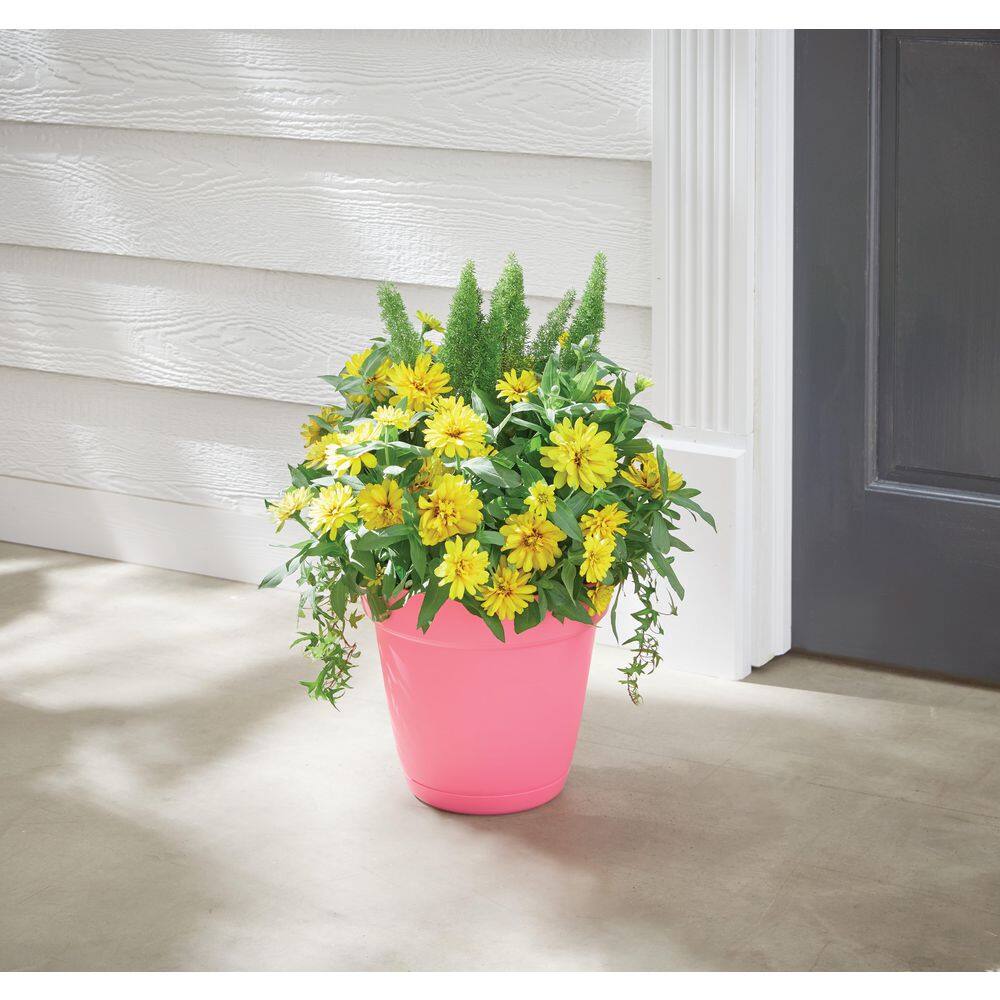8 in. Bea Small Flamingo Resin Planter (8 in. D x 7.1 in. H) With Drainage Hole and Attached Saucer price history on PriceWatchPro