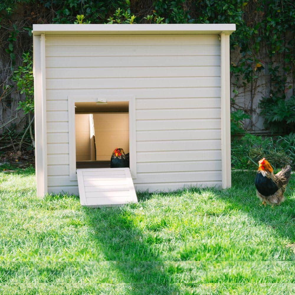 Jumbo Tan Eco-Friendly Chicken Barn with Nesting Box