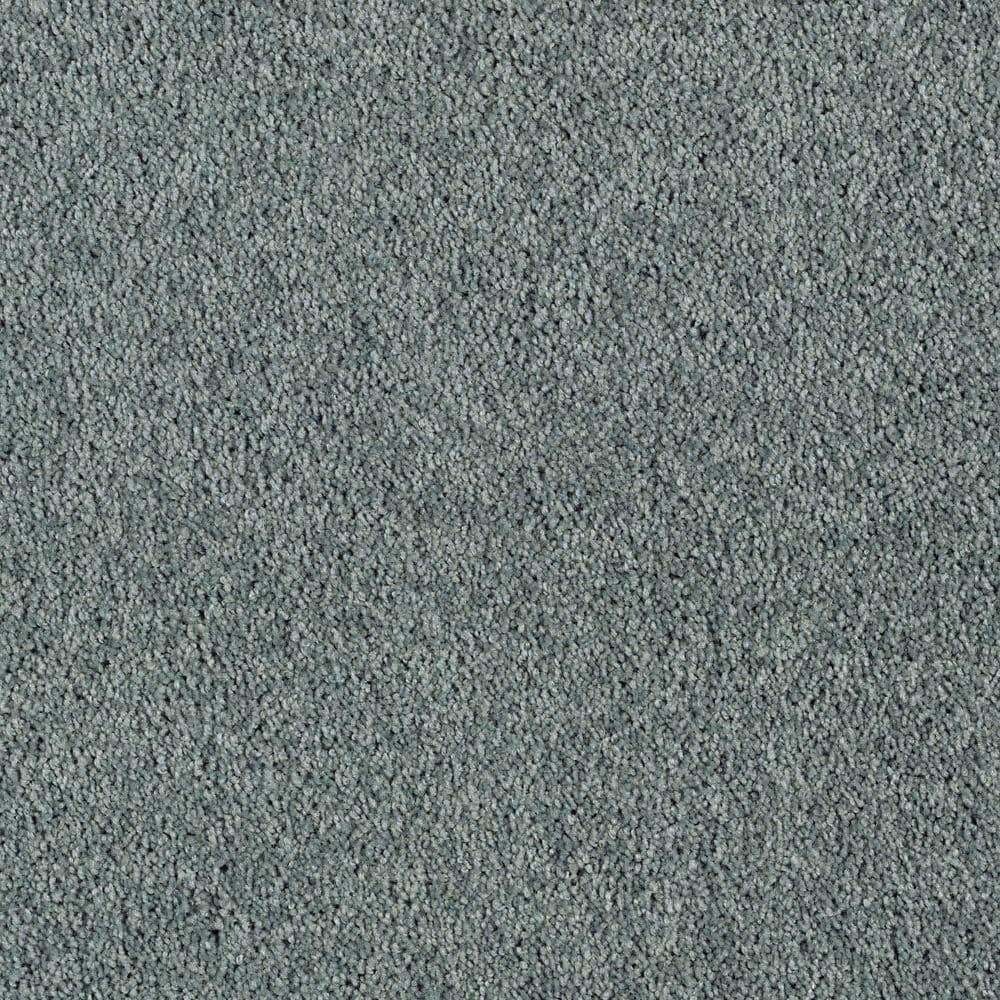 8 in. x 8 in. Texture Carpet Sample - Ambrosina I -Color Twilight price history on PriceWatchPro