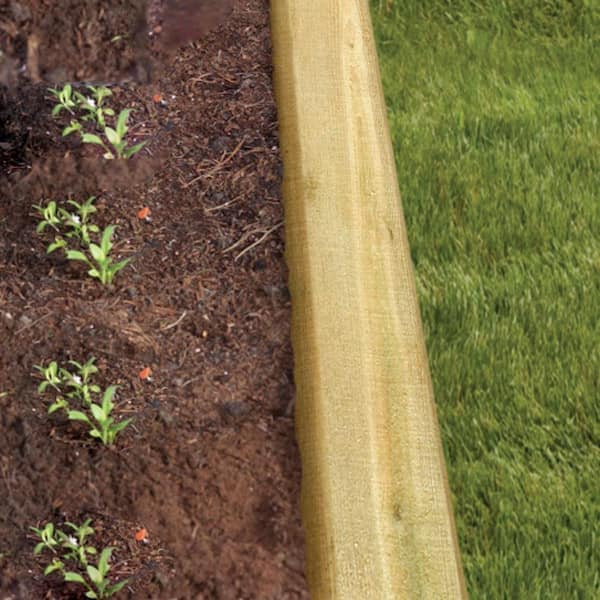 8 ft. Landscape Timber