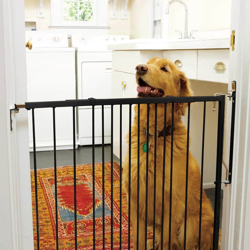 Adjustable Black Metal Swinging Safety Gate