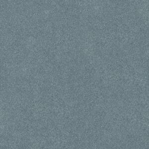 Blakely III - Robbin - Blue 66 oz. High Performance Polyester Texture Installed Carpet