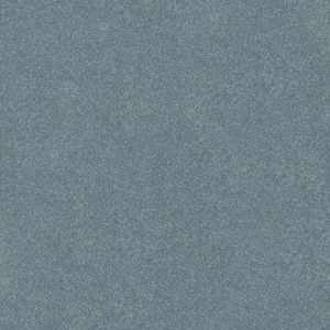 Blakely I - Robin-Blue 12 ft. 37 oz. Polyester Texture Installed Carpet