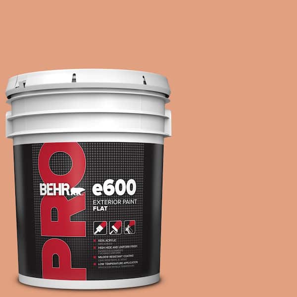 5 gal. #230D-4 Pecos Spice Flat Exterior Paint
