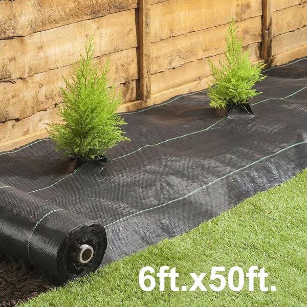 Agfabric 6 Ft X 50 Ft Landscape Fabric Weed Barrier Ground Cover Garden Mats For Weeds Block In Raised Garden Bed Gc3206050bf The Home Depot