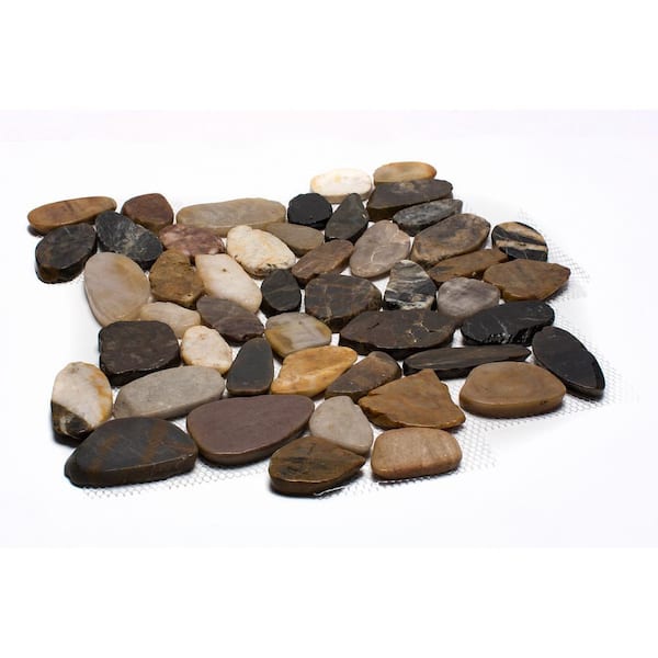 Rain Forest 12 in. x 12 in. Mixed Sliced High-Polish Pebble Stone Floor and Wall Tile (5.0 sq. ft. / case)