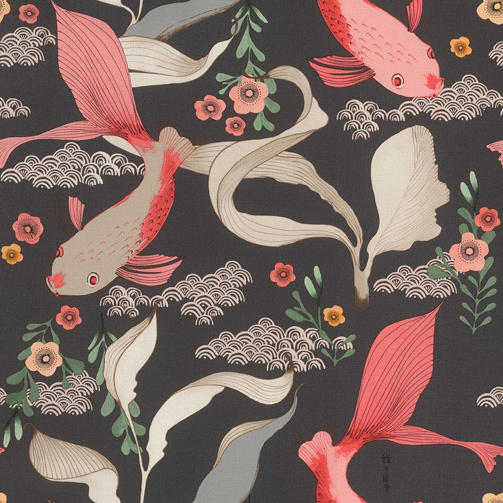 Dai Black Betta Fish Wallpaper Sample