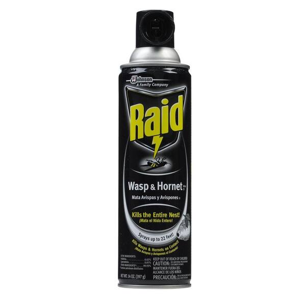 Raid 14 oz. Wasp and Hornet Killer