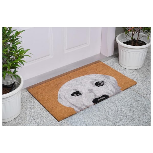 Indoor Funny Doormat For Entryway Brown Bear Welcome Mats For Front Door  Western