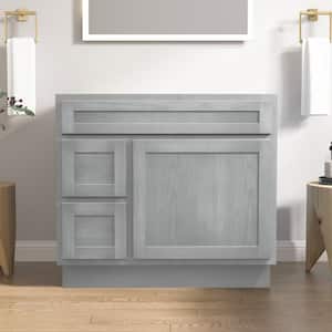 36 in. W x 21 in. D x 32.5 in. H 2-Left Drawers Bath Vanity Cabinet without Top in Silver