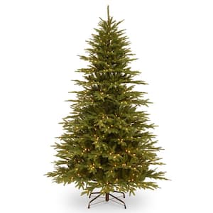 7.7 ft. Monterey Fir Tree with Clear Lights