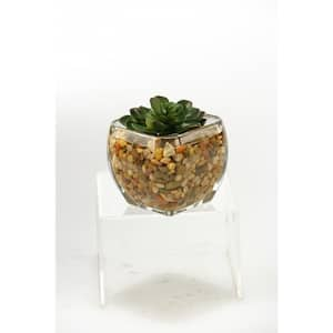 Artificial Indoor Small Echeveria in Glass Cube