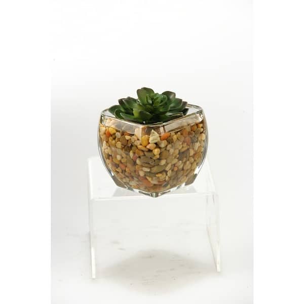 D&W Silks Artificial Indoor Small Echeveria in Glass Cube